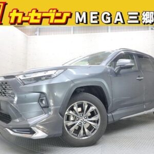 2022 Toyota Rav4 gray gasoline used car Japan export