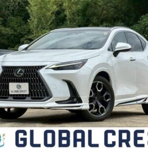Autoxglobal