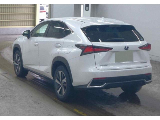 Ref:AUX-22309688 LEXUS NX 2020 - Image 2