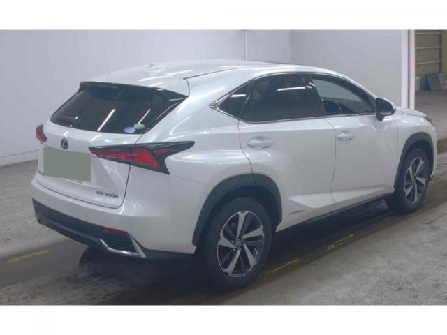 Ref:AUX-22309688 LEXUS NX 2020 - Image 6