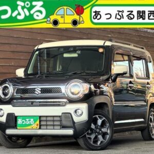2024 Suzuki Hustler tea hybrid used car Japan export