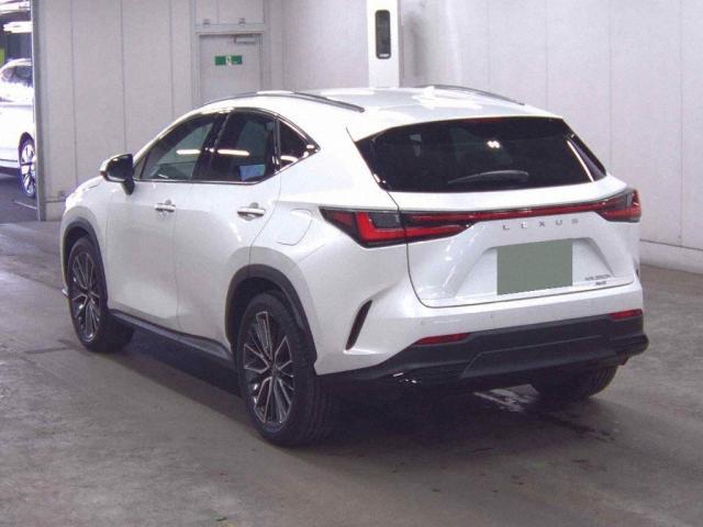 Ref:AUX-22744741 LEXUS NX 2023 2 Ref:AUX-22744741 LEXUS NX 2023 - Image 2