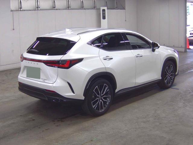 Ref:AUX-22744741 LEXUS NX 2023 6 Ref:AUX-22744741 LEXUS NX 2023 - Image 6
