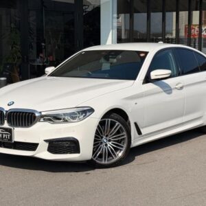 2019 Bmw 5 Series white diesel used car Japan export