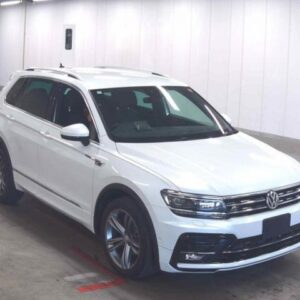 2019 Volkswagen Tiguan pearl diesel used car Japan export