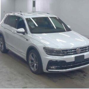 2019 Volkswagen Tiguan white gasoline used car Japan export
