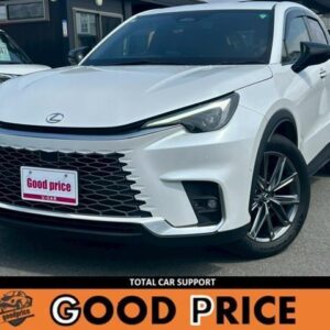2024 Lexus Lbx white hybrid used car Japan export