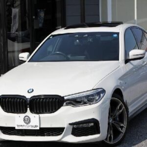 2017 Bmw 5 Series white gasoline used car Japan export