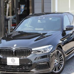 2019 Bmw 5 Series black diesel used car Japan export