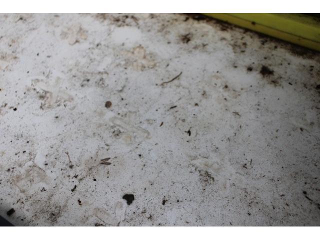 Ref:AUX-22935800 ISUZU ELF TRUCK 2015 20 Ref:AUX-22935800 ISUZU ELF TRUCK 2015 - Image 20