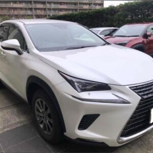 2021 Lexus Nx pearl gasoline used car Japan export