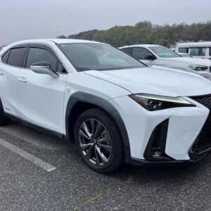 2019 Lexus Ux pearl gasoline used car Japan export