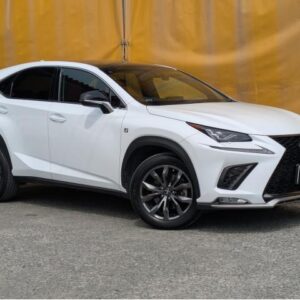 2018 Lexus Nx pearl gasoline used car Japan export