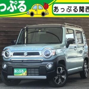 2023 Suzuki Hustler blue hybrid used car Japan export