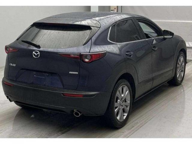 Ref:AUX-23121024 MAZDA CX-30 2019 2 Ref:AUX-23121024 MAZDA CX-30 2019 - Image 2