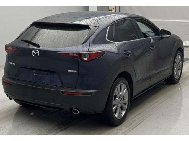 Ref:AUX-23121024 MAZDA CX-30 2019 5 Ref:AUX-23121024 MAZDA CX-30 2019 - Image 5