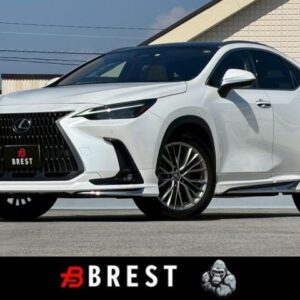 2023 Lexus Nx white gasoline used car Japan export