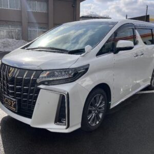2022 Toyota Alphard pearl gasoline used car Japan export