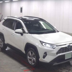 2020 Toyota Rav4 pearl gasoline used car Japan export