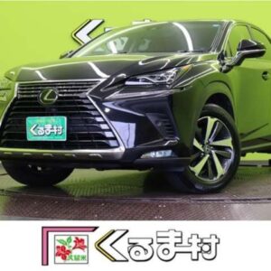 2018 Lexus Nx black gasoline used car Japan export
