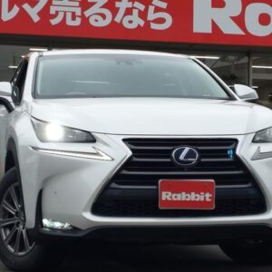 2017 Lexus Nx pearl hybrid used car Japan export