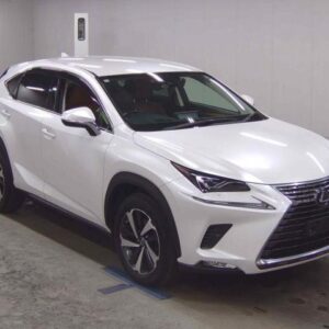 2019 Lexus Nx pearl gasoline used car Japan export