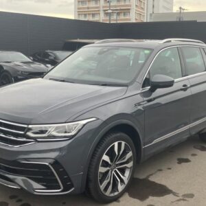 2024 Volkswagen Tiguan gray gasoline used car Japan export