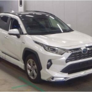 2019 Toyota Rav4 pearl gasoline used car Japan export
