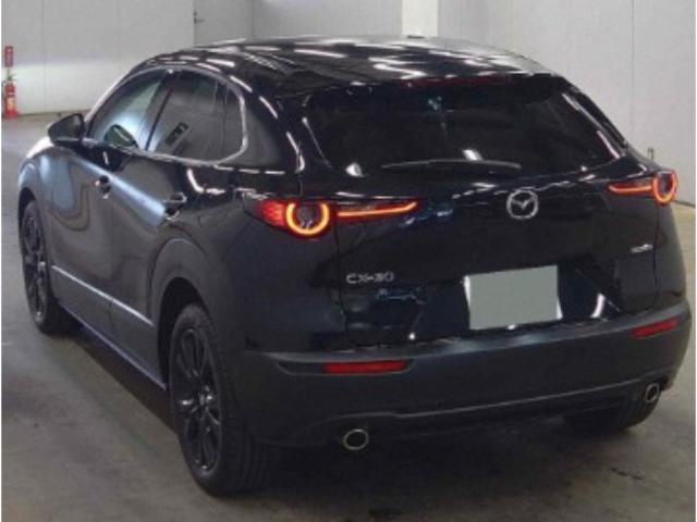 Ref:AUX-23517024 MAZDA CX-30 2023 2 Ref:AUX-23517024 MAZDA CX-30 2023 - Image 2