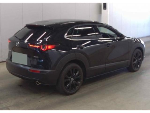 Ref:AUX-23517024 MAZDA CX-30 2023 6 Ref:AUX-23517024 MAZDA CX-30 2023 - Image 6