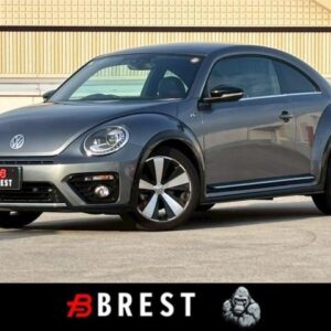 2019 Volkswagen The Beetle gray gasoline used car Japan export