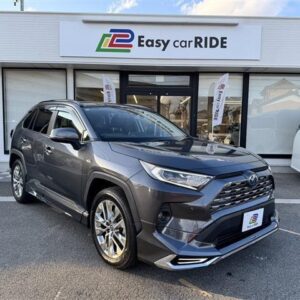 2019 Toyota Rav4 gray gasoline used car Japan export