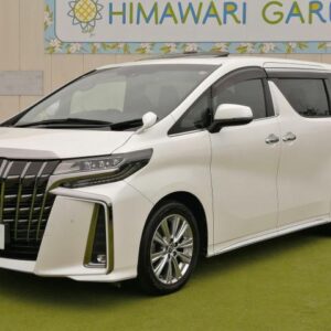 2020 Toyota Alphard pearl gasoline used car Japan export