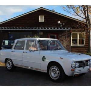 1995 Alfa Romeo Giulia gray gasoline used car Japan export