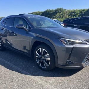 2023 Lexus Ux pearl gasoline used car Japan export
