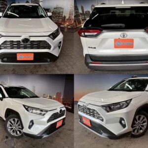 2019 Toyota Rav4 pearl gasoline used car Japan export