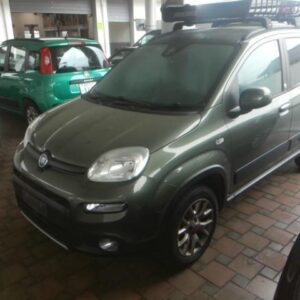 2019 Fiat Panda green gasoline used car Japan export