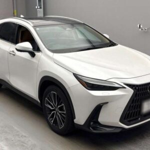 2023 Lexus Nx pearl gasoline used car Japan export