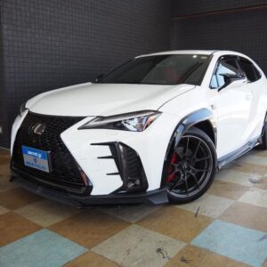 2020 Lexus Ux pearl gasoline used car Japan export