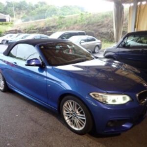 2017 Bmw 2 Series blue gasoline used car Japan export