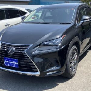 2019 Lexus Nx black gasoline used car Japan export