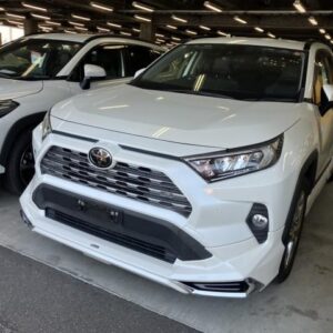 2019 Toyota Rav4 pearl gasoline used car Japan export