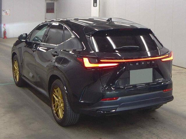 Ref:AUX-24095603 LEXUS NX 2025 2 Ref:AUX-24095603 LEXUS NX 2025 - Image 2