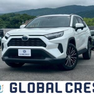 2022 Toyota Rav4 pearl gasoline used car Japan export