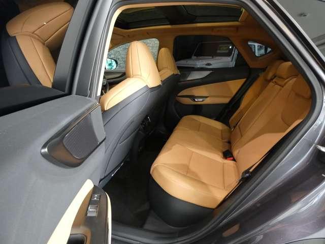 Ref:AUX-24127974 LEXUS NX 2023 19 Ref:AUX-24127974 LEXUS NX 2023 - Image 19