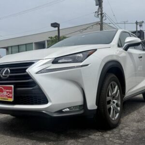 2017 Lexus Nx pearl gasoline used car Japan export