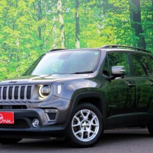 2019 Chrysler Jeep Jeep Renegade gray gasoline used car Japan export