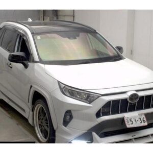 2023 Toyota Rav4 pearl gasoline used car Japan export