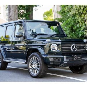 2020 Mercedes Benz G-Class green diesel used car Japan export