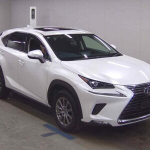 2019 Lexus Nx pearl gasoline used car Japan export